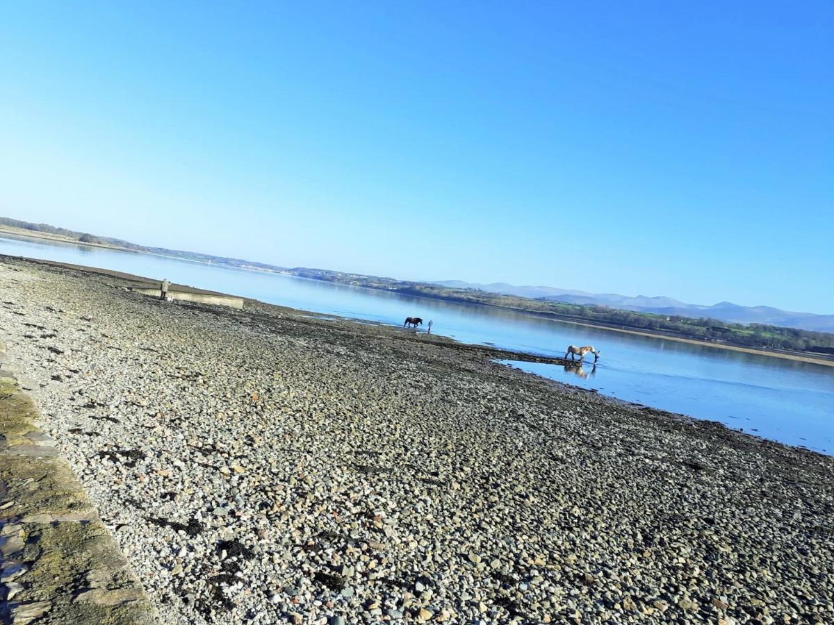 Gwenallt Dwyran ภายนอก รูปภาพ